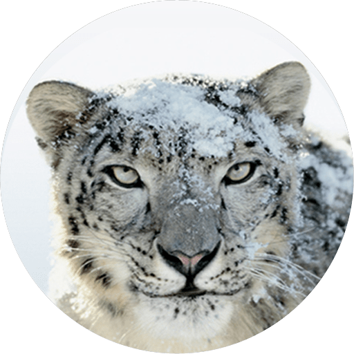 How To Download Mac Snow Leopard